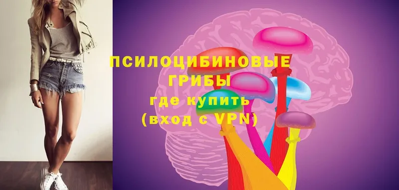 сколько стоит  Жиздра  Галлюциногенные грибы Cubensis 